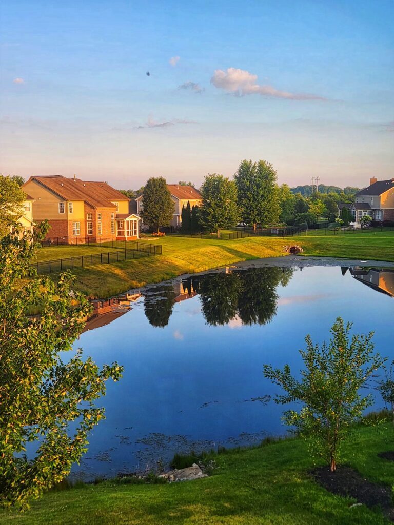 A detention pond in a development